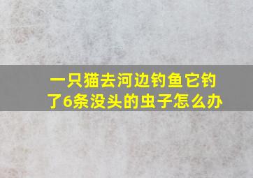 一只猫去河边钓鱼它钓了6条没头的虫子怎么办