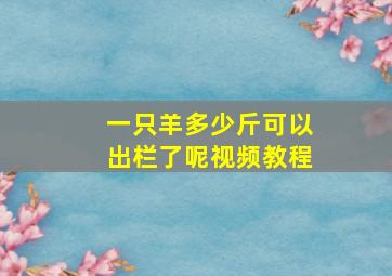 一只羊多少斤可以出栏了呢视频教程