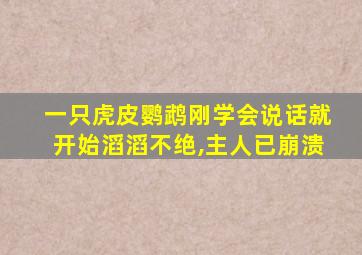 一只虎皮鹦鹉刚学会说话就开始滔滔不绝,主人已崩溃