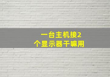 一台主机接2个显示器干嘛用