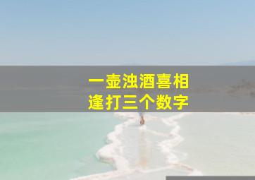 一壶浊酒喜相逢打三个数字