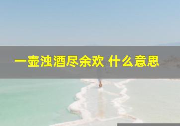 一壶浊酒尽余欢 什么意思