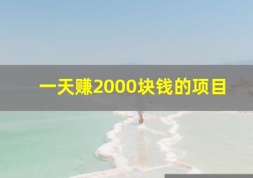 一天赚2000块钱的项目