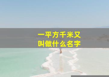 一平方千米又叫做什么名字