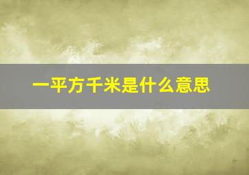 一平方千米是什么意思