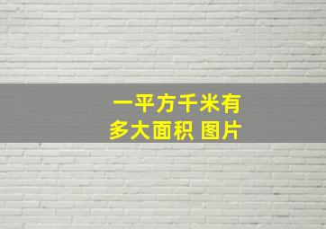 一平方千米有多大面积 图片