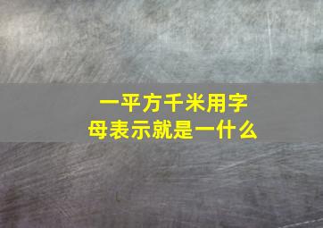 一平方千米用字母表示就是一什么