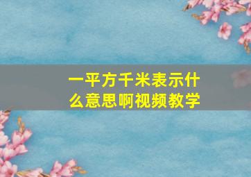 一平方千米表示什么意思啊视频教学