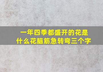 一年四季都盛开的花是什么花脑筋急转弯三个字