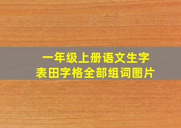 一年级上册语文生字表田字格全部组词图片