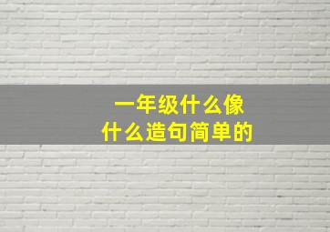 一年级什么像什么造句简单的