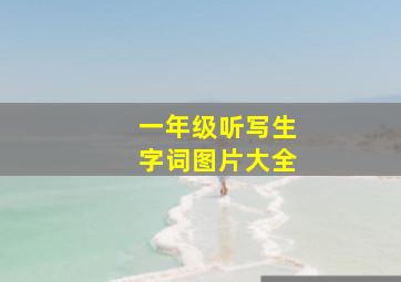 一年级听写生字词图片大全