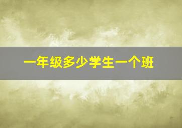 一年级多少学生一个班