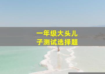 一年级大头儿子测试选择题