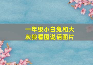 一年级小白兔和大灰狼看图说话图片