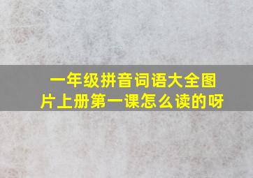 一年级拼音词语大全图片上册第一课怎么读的呀