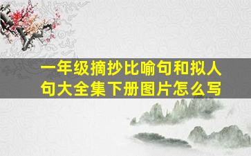 一年级摘抄比喻句和拟人句大全集下册图片怎么写