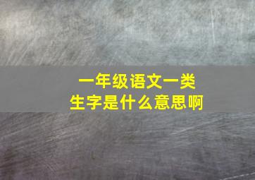 一年级语文一类生字是什么意思啊