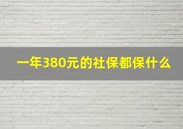 一年380元的社保都保什么