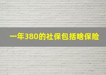 一年380的社保包括啥保险