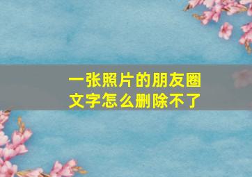 一张照片的朋友圈文字怎么删除不了