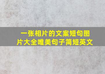 一张相片的文案短句图片大全唯美句子简短英文