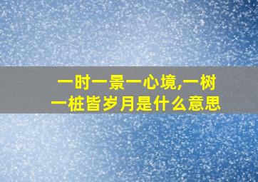 一时一景一心境,一树一桩皆岁月是什么意思