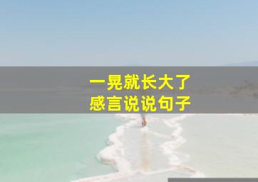 一晃就长大了感言说说句子