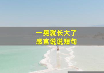 一晃就长大了感言说说短句