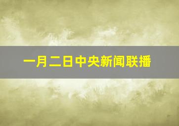 一月二日中央新闻联播