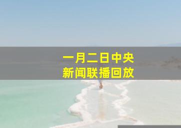 一月二日中央新闻联播回放