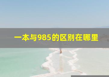 一本与985的区别在哪里