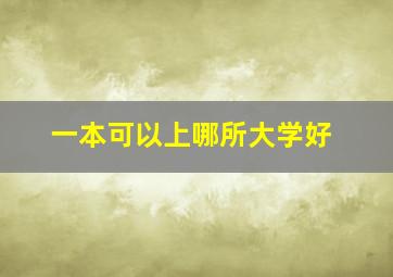 一本可以上哪所大学好