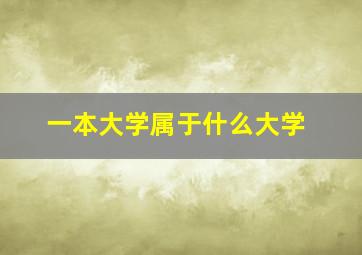 一本大学属于什么大学