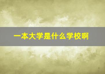 一本大学是什么学校啊