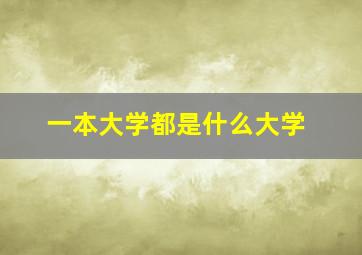 一本大学都是什么大学