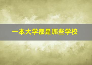 一本大学都是哪些学校