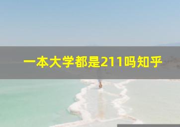 一本大学都是211吗知乎