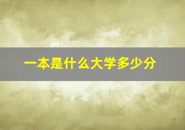 一本是什么大学多少分