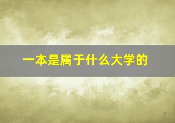 一本是属于什么大学的