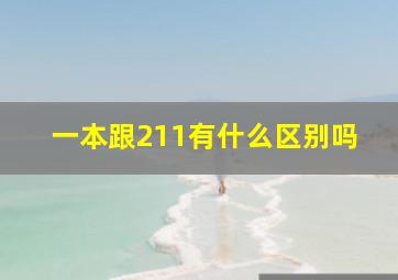 一本跟211有什么区别吗