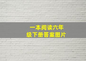 一本阅读六年级下册答案图片