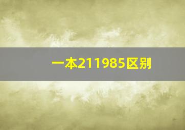 一本211985区别