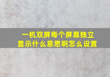 一机双屏每个屏幕独立显示什么意思啊怎么设置