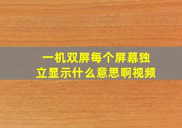 一机双屏每个屏幕独立显示什么意思啊视频