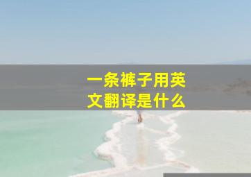 一条裤子用英文翻译是什么