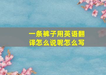 一条裤子用英语翻译怎么说呢怎么写