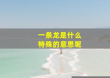 一条龙是什么特殊的意思呢