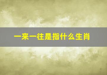 一来一往是指什么生肖