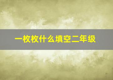 一枚枚什么填空二年级